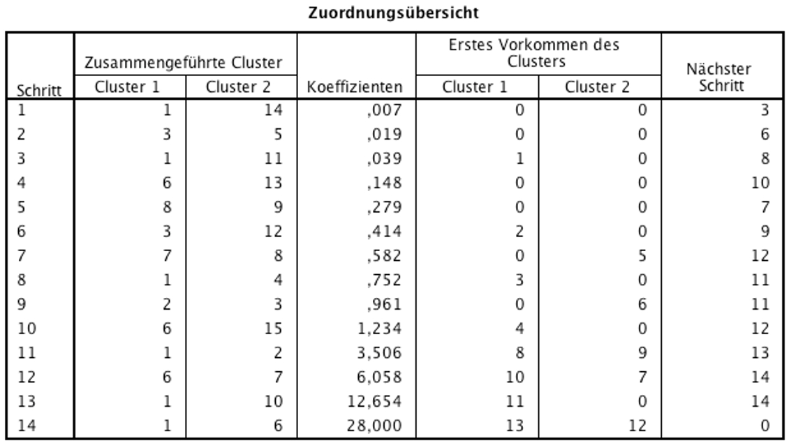 Abbildung 6: SPSS-Output – Zuordnungsübersicht