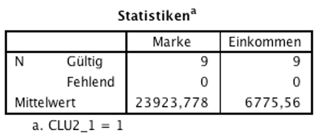 Abbildung 10: SPSS-Output – Deskriptive Statistiken für Cluster 1