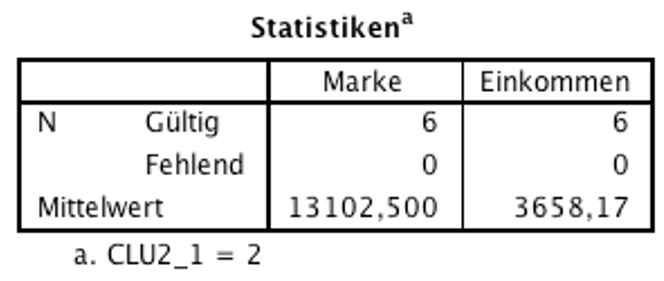 Abbildung 11: SPSS-Output – Deskriptive Statistiken für Cluster 2